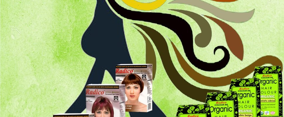 Blog preguntas
