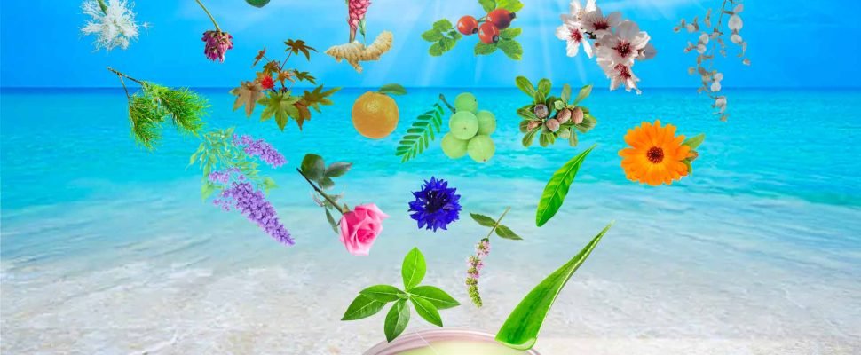 Cosmética natural 2024-01 Peq